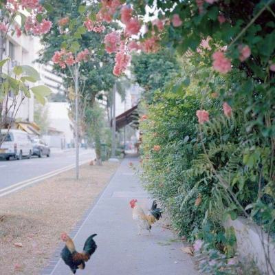 Kaiyun·开云体育手机app下载